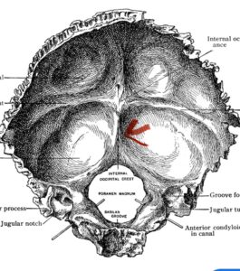 Fig 2a fig 2a